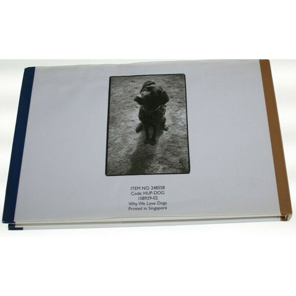 Why We Love Dogs : A Bark and Smile Book by Kim Levin (1998, Hardcover) - Picture 3 of 3